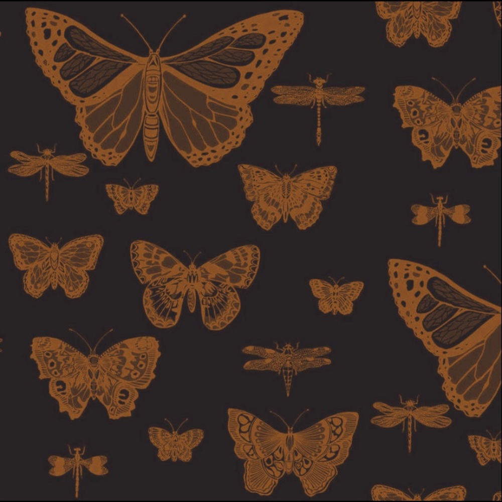 Meet your Posher, Ava